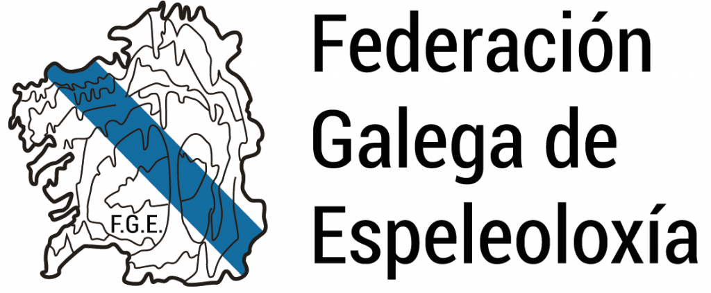 Logo Gallega